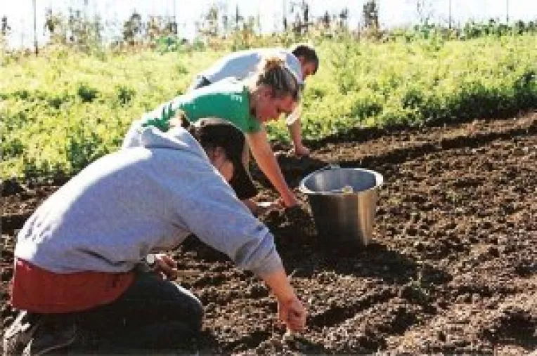 A inceput numaratoarea inversa pentru subventia pe suprafata