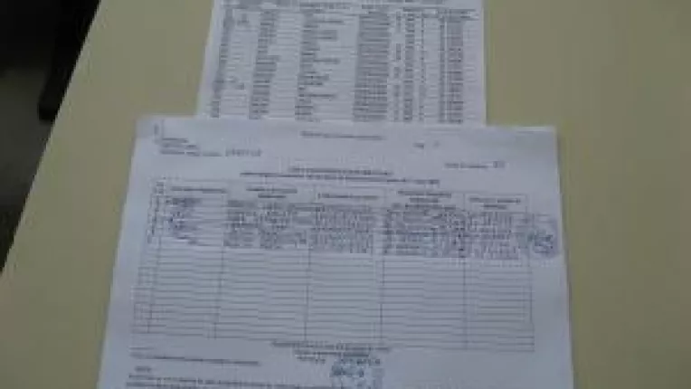 A votat cu doua maini