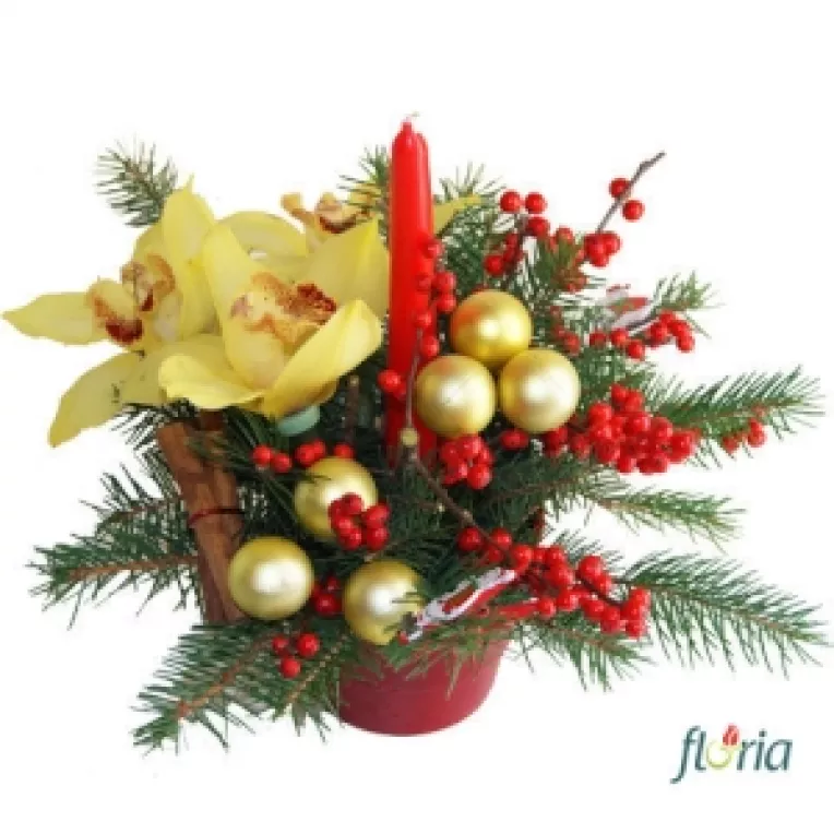 Craciunul se sarbatoreste in Europa din anul 350 iar in SUA din anul 1907