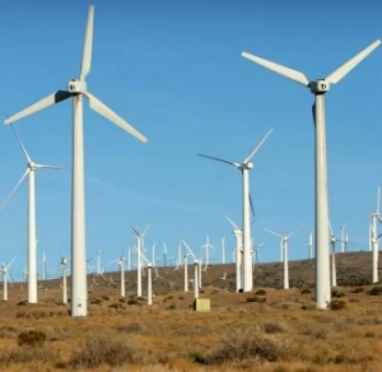 Danezii ar putea sa ne construiasca turbine eoliene