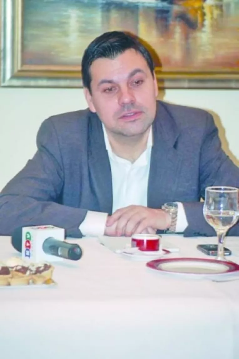 Gabi Stan spune ca agitatia va fi pentru prezidentiale: "Nu vad nici un partid disperat in aceasta campanie"