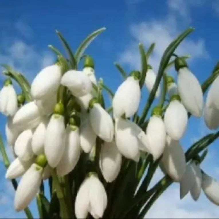 Horoscop: Saptamana 22-28 Februarie 2016