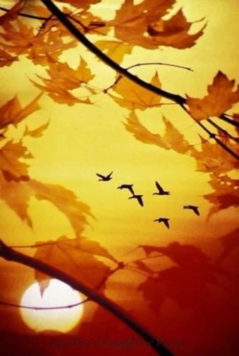 Horoscop: Saptamana 30 Octombrie - 5 Noiembrie 2017