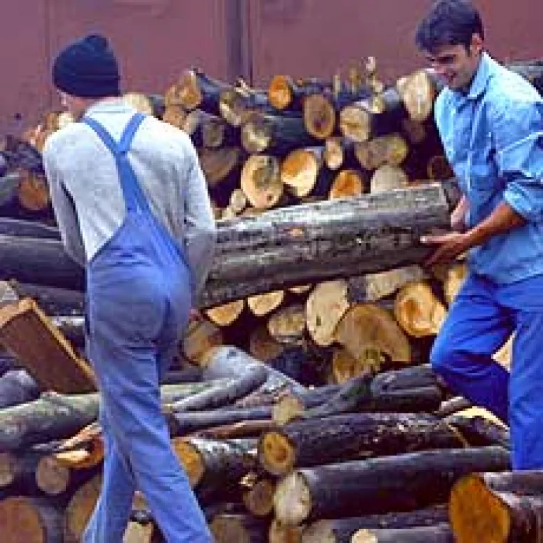 Lemnul pentru foc va fi mai scump in sudul tarii