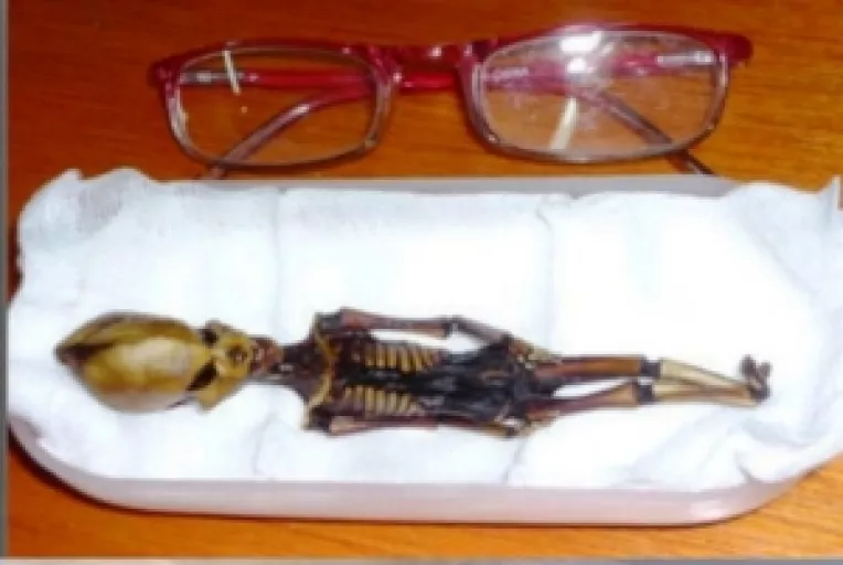 O mumie de 13 centimetri a unui extraterestru 