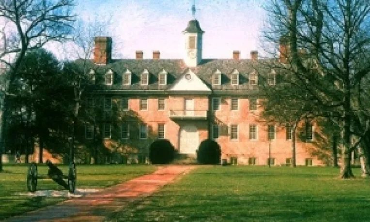 Studiu: Iaurtul si muraturile reduc simptomele de anxietate